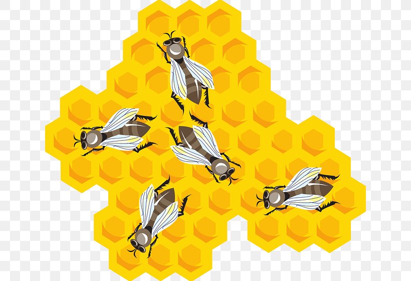 Beehive Honeycomb Clip Art, PNG, 640x560px, Bee, Beehive, Beeswax, Bumblebee, Honey Bee Download Free