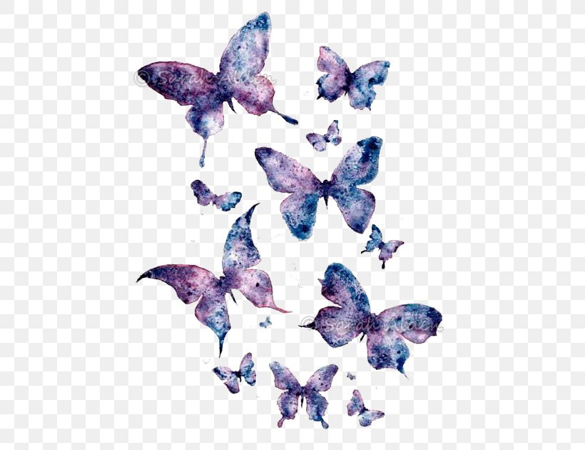 Butterfly Paper Watercolor Painting Art, PNG, 486x630px, Butterfly, Art, Artist, Blue, Color Download Free