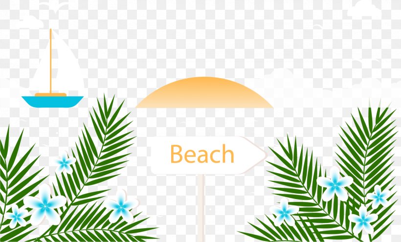 Beach Summer Vacation, PNG, 1656x1001px, Beach, Arecaceae, Branch, Conifer, Grass Download Free