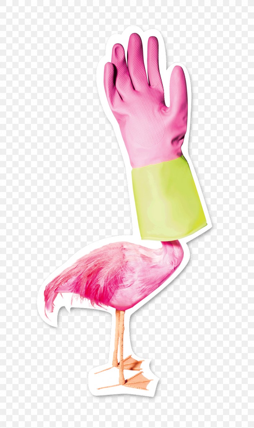 Thumb Bird Clip Art, PNG, 890x1500px, Thumb, Bird, Finger, Hand, Pink Download Free
