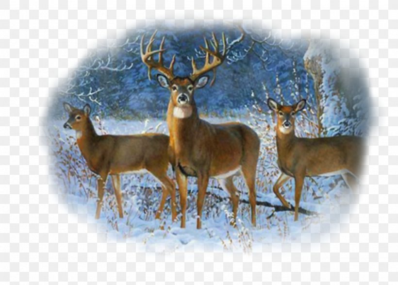White-tailed Deer Winter Trio Wall Graphic Bald Eagle, PNG, 1024x734px, Whitetailed Deer, Antler, Art, Bald Eagle, Deer Download Free