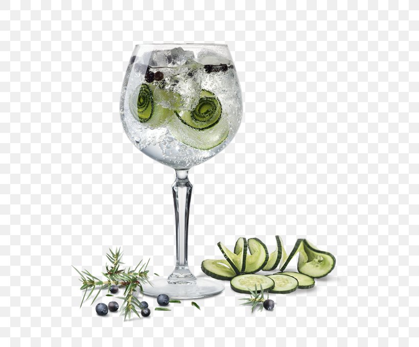 Gin And Tonic Cocktail Garnish Vodka Tonic, PNG, 545x679px, Gin And Tonic, Alcoholic Drink, Champagne Glass, Champagne Stemware, Cocktail Download Free