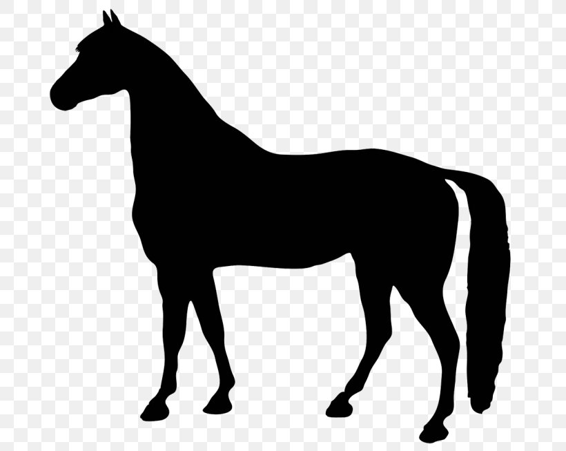 Horse Cartoon, PNG, 700x653px, Thoroughbred, Animal Figure, Black, Blackandwhite, Collection Download Free