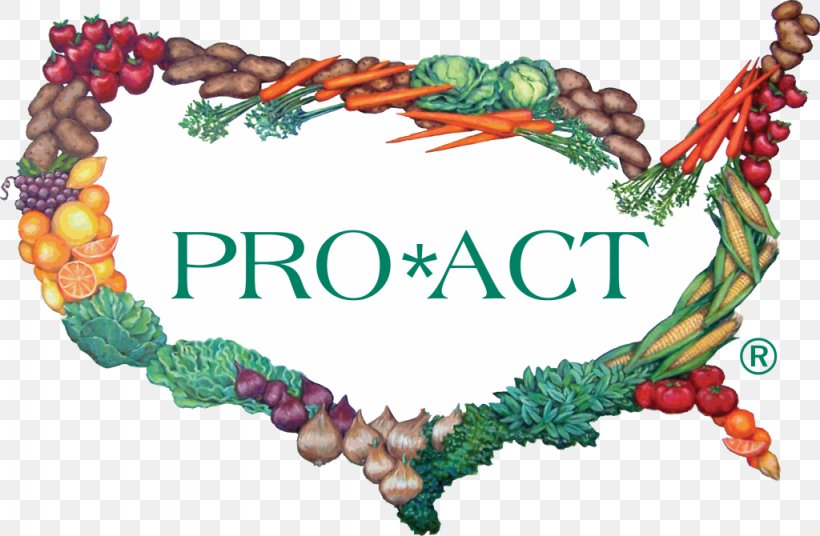 Pro Act LLC Foodservice Business Produce, PNG, 1024x670px, Foodservice, Agriculture, Bead, Business, Distribution Download Free