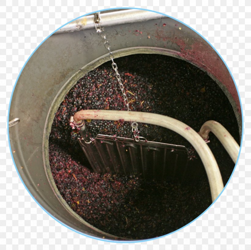 Red Wine Must Fermentation Winemaking, PNG, 824x822px, Wine, Alcoholic Beverages, Ethanol Fermentation, Fermentation, Food Download Free