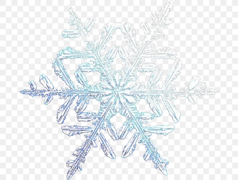 Snowflake Symmetry Line Pattern, PNG, 686x620px, Snowflake, Symmetry Download Free