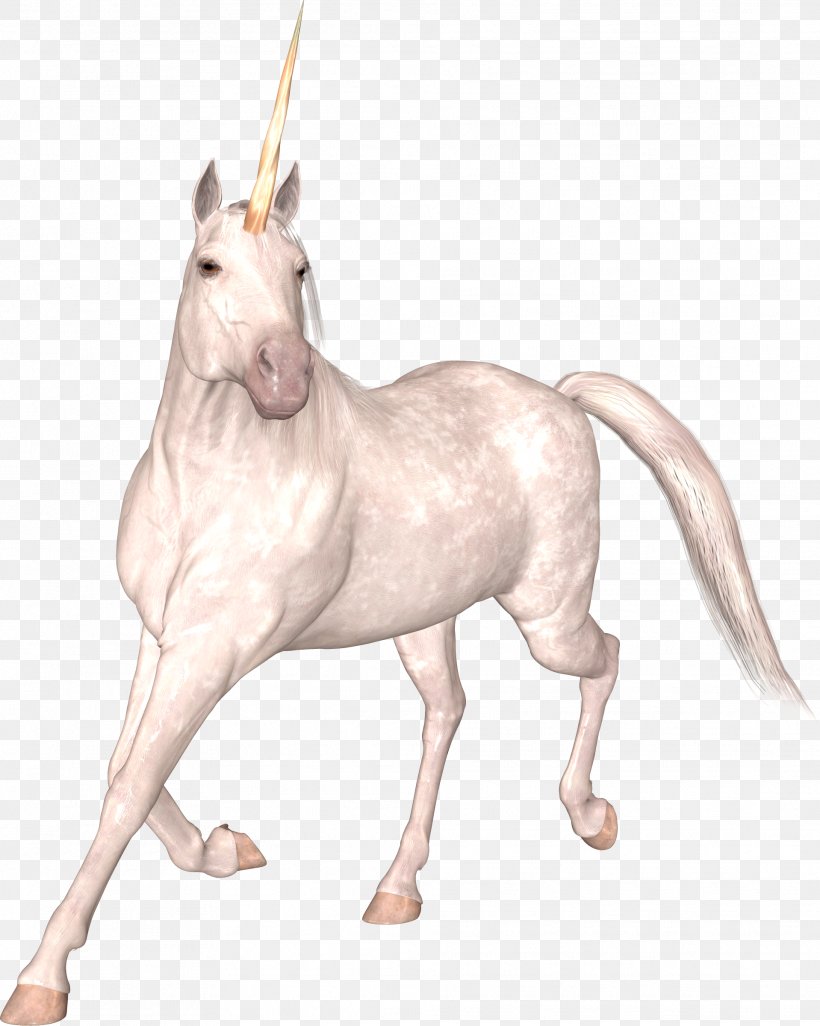 Unicorn Frappuccino Legendary Creature Indus Valley Civilisation Faculty Of Informatics And Information Technologies, PNG, 1918x2400px, Unicorn, Aesthetics, Art, Fictional Character, Horn Download Free
