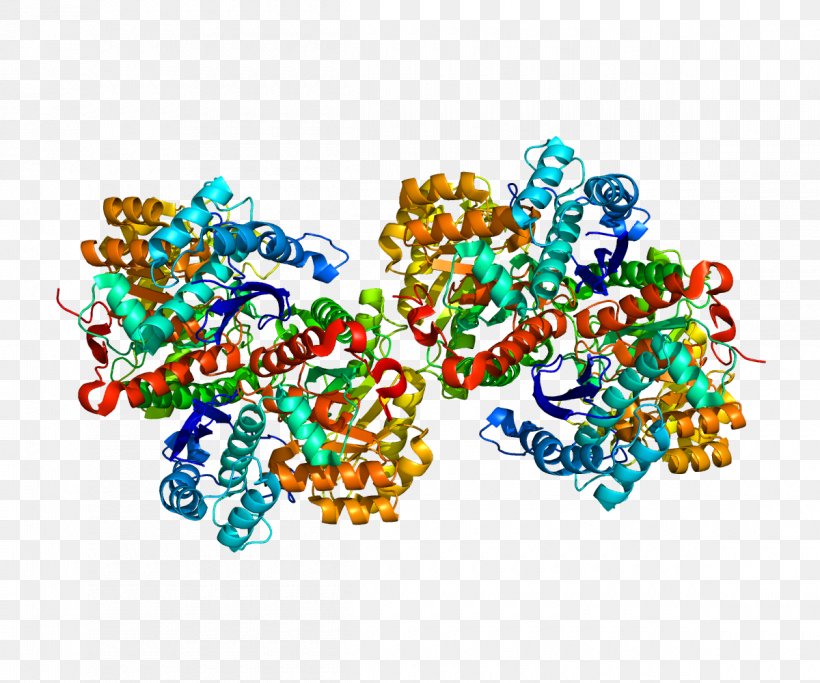Alpha-enolase Glycolysis Enolase 2 Enzyme, PNG, 1200x1000px, Watercolor, Cartoon, Flower, Frame, Heart Download Free