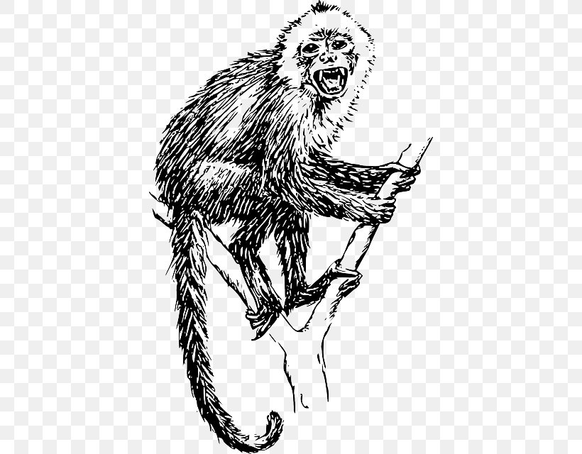 Clip Art Vector Graphics Ape Drawing Image, PNG, 400x640px, Ape, Art, Big Cats, Black And White, Capuchin Monkey Download Free