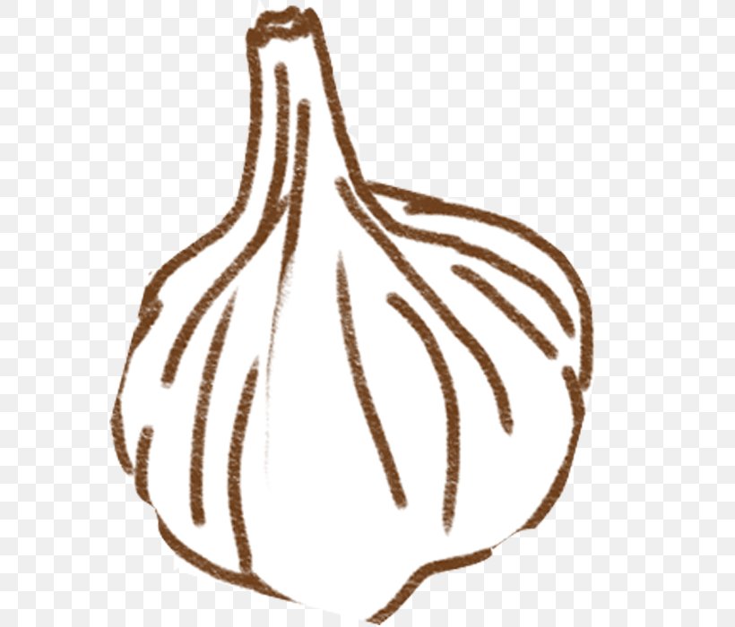 Garlic Clip Art, PNG, 700x700px, Garlic, Black And White, Carrot, Dropdown List, Flowering Plant Download Free