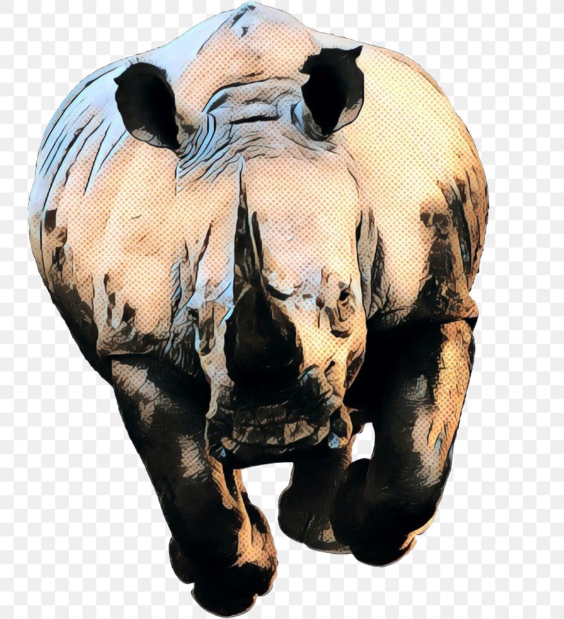 Rhinoceros Desktop Wallpaper Image Fauna Of Africa Animal, PNG, 743x900px, Rhinoceros, African Buffalo, Animal, Fauna Of Africa, Lion Download Free