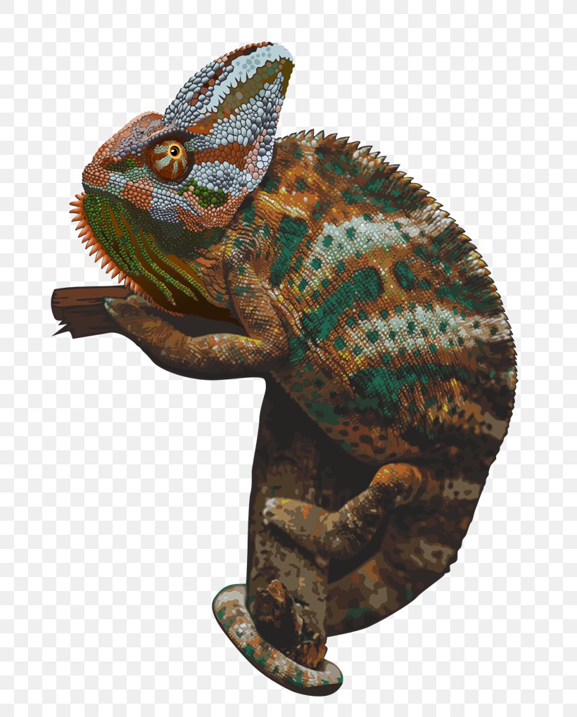 Chameleons Clip Art, PNG, 800x1019px, Chameleons, Chameleon, Common Chameleon, Hyperlink, Iguania Download Free