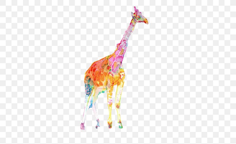 Colorful Giraffe Watercolor Painting Illustration, PNG, 502x502px, Giraffe, Brush, Color, Colorful Giraffe, Giraffidae Download Free