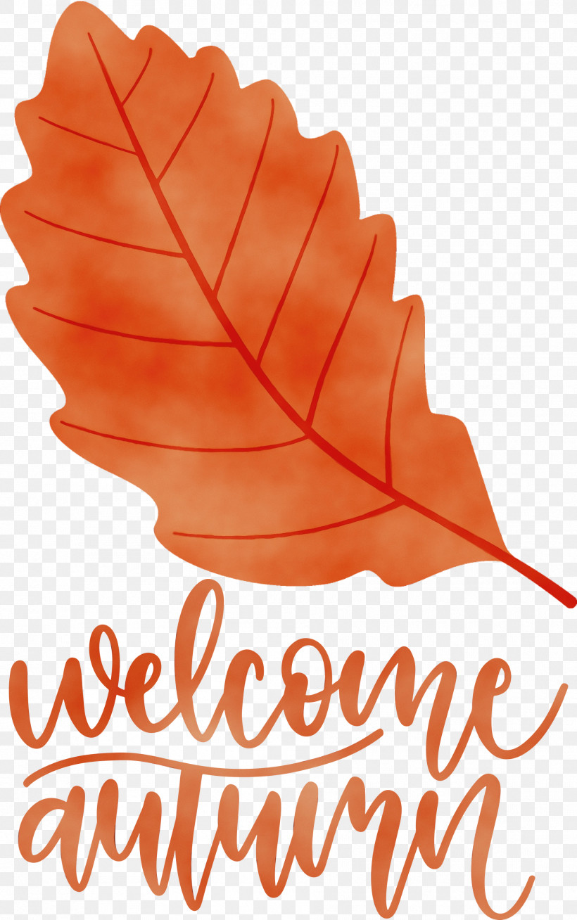 Leaf Tree Meter Font Science, PNG, 1879x2999px, Welcome Autumn, Autumn, Biology, Leaf, Meter Download Free