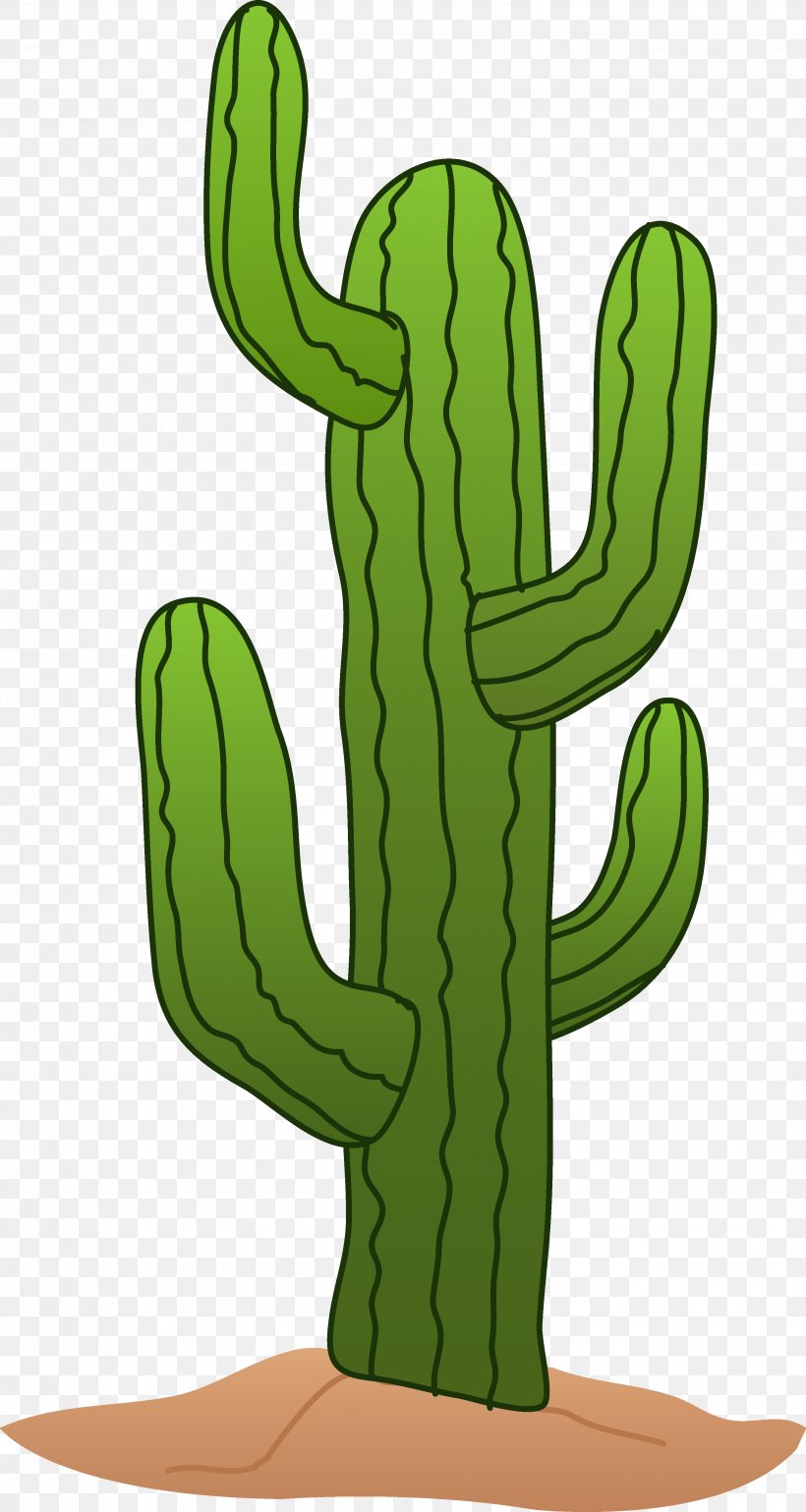 Cactaceae Saguaro Drawing Clip Art, PNG, 2889x5425px, Cactaceae, Blog, Cactus, Cartoon, Caryophyllales Download Free