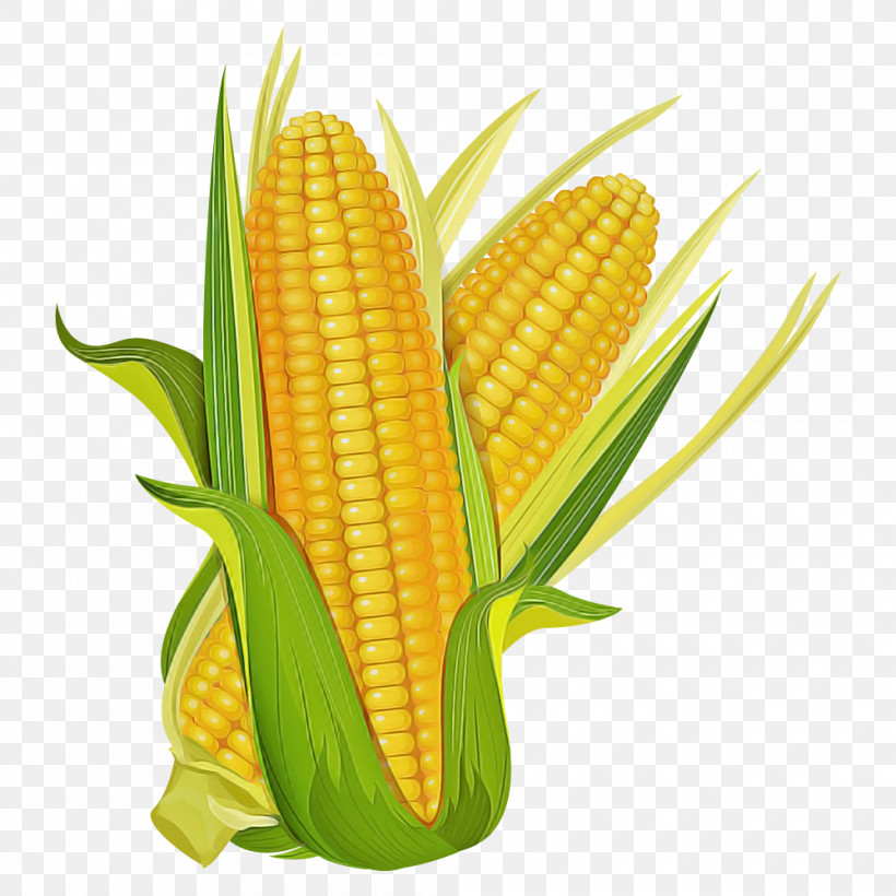 Corn Kernels Corn Corn On The Cob Sweet Corn Corn On The Cob, PNG, 1000x1000px, Corn Kernels, Corn, Corn On The Cob, Cuisine, Food Download Free