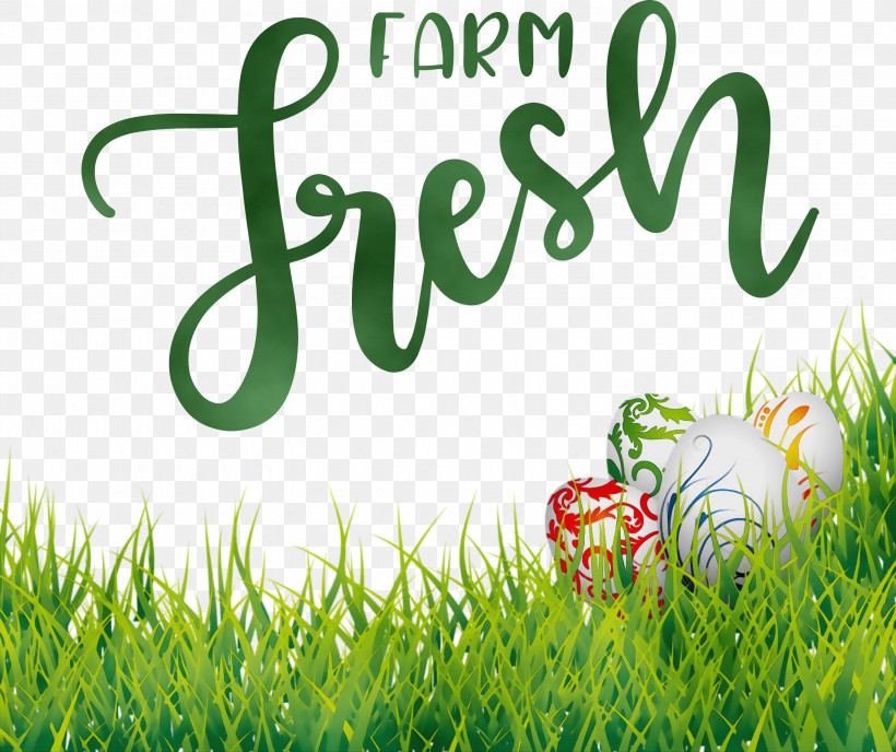 Logo Grasses Font Green Lawn, PNG, 3000x2520px, Farm Fresh, Grasses, Green, Lawn, Logo Download Free