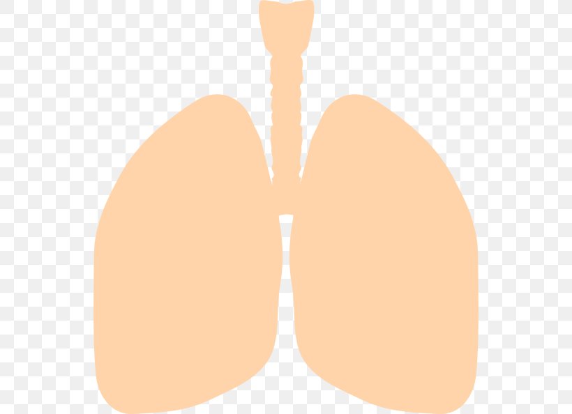 Lung Clip Art, PNG, 552x594px, Lung, Breathing, Bronchus, Ear, Finger Download Free