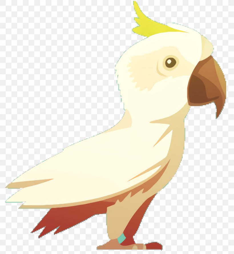 Bird Parrot, PNG, 1076x1168px, Cockatiel, Beak, Bird, Bird Of Prey, Cockatoo Download Free