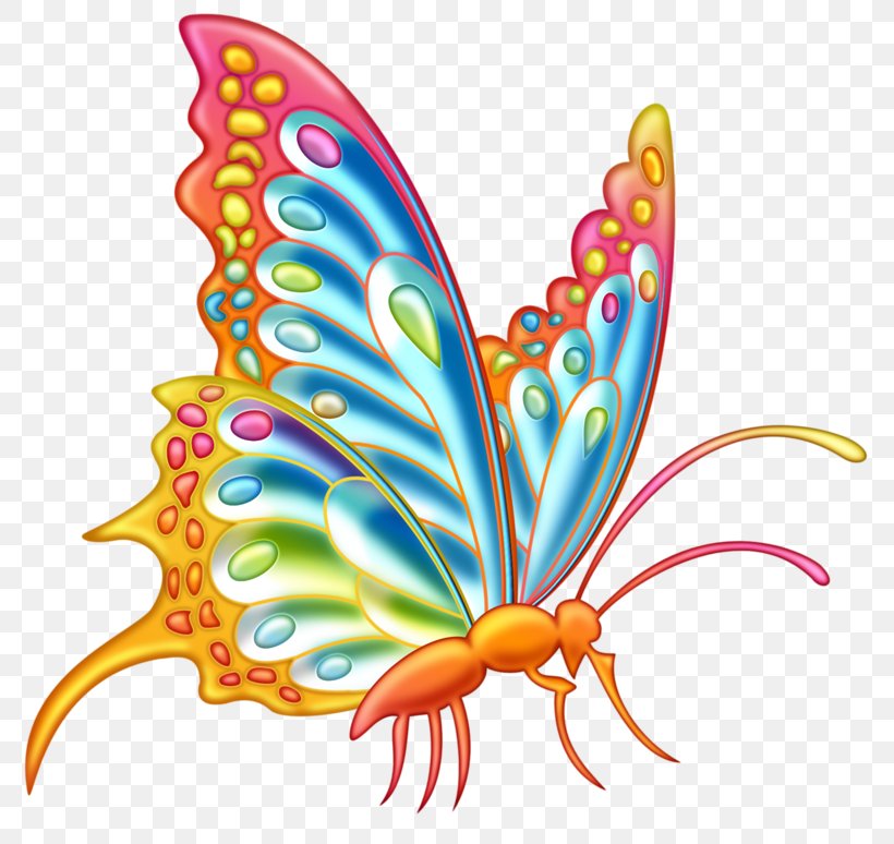 Butterfly Clip Art, PNG, 800x774px, Butterfly, Brush Footed Butterfly, Color, Drawing, Insect Download Free