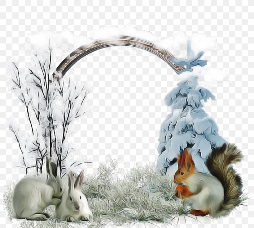 Picture Frame, PNG, 800x734px, Hare, Picture Frame, Rabbit, Rabbits And Hares Download Free