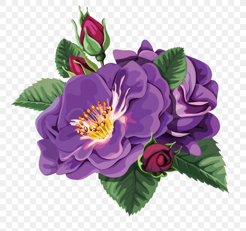 Rosa Chinensis Flower Clip Art, PNG, 800x769px, Rosa Chinensis, Annual Plant, Cut Flowers, Designer, Floral Design Download Free