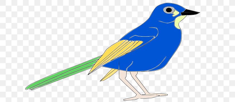 Bird Parrot Clip Art, PNG, 800x356px, Bird, Beak, Bluebird, Fauna, Feather Download Free