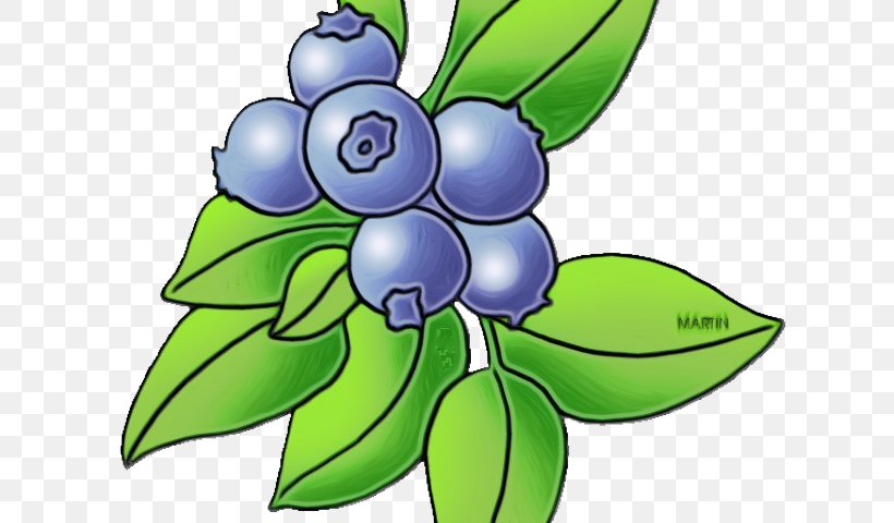 Blue Iris Flower, PNG, 640x480px, Watercolor, American Muffins, Arando, Berries, Berry Download Free