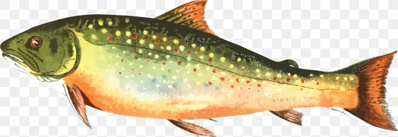 Brown Trout Rainbow Trout Clip Art, PNG, 4000x1384px, Trout, Animal Figure, Bony Fish, Brook Trout, Brown Trout Download Free