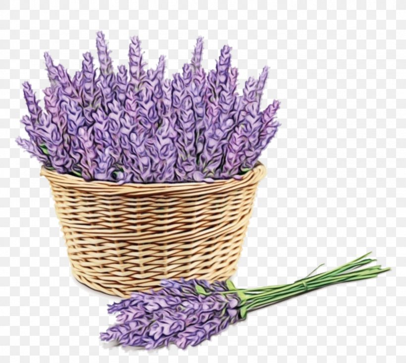 Lavender, PNG, 1024x918px, Watercolor, Cut Flowers, English Lavender, Flower, Flowering Plant Download Free