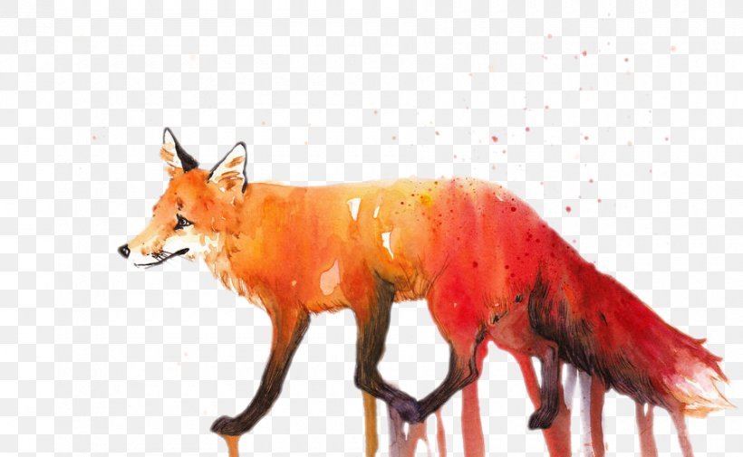 Small Fire Red Fox Pull Material Free, PNG, 900x555px, Red Fox, Animal, Canidae, Carnivora, Carnivoran Download Free
