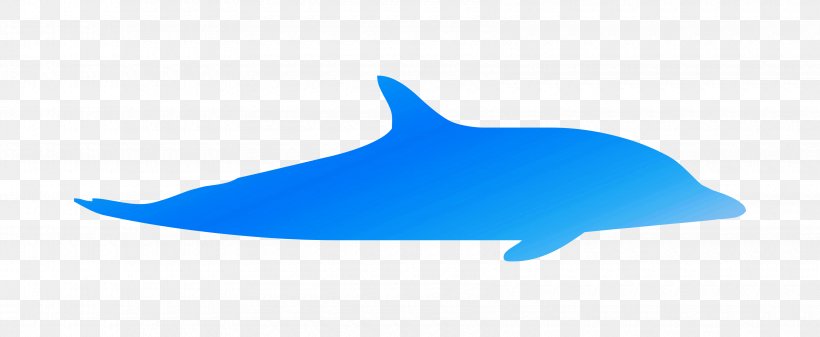 Common Bottlenose Dolphin Marine Biology, PNG, 3400x1400px, Common Bottlenose Dolphin, Animal Figure, Biology, Blue Whale, Bottlenose Dolphin Download Free
