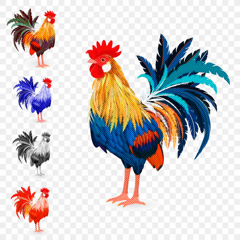 Feather, PNG, 1000x1000px, Chicken, Animal Figure, Beak, Bird, Comb Download Free