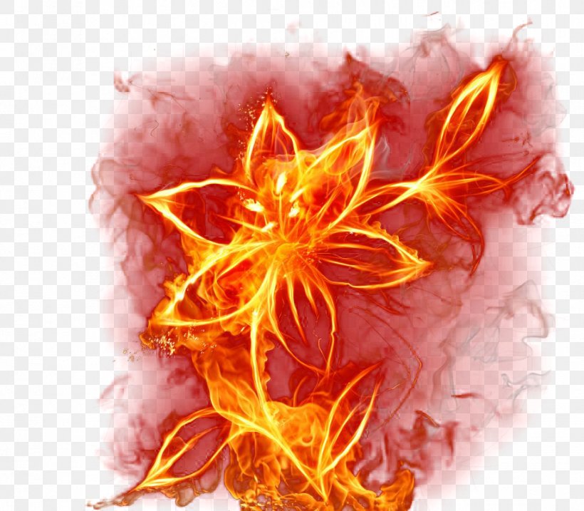 Flame Live Wallpaper Fire 3 Colors Wallpaper, PNG, 914x800px, 3d Computer Graphics, Flame Live Wallpaper, Android, Art, Combustion Download Free