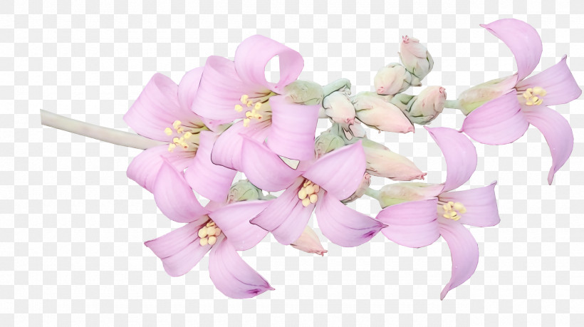 Flower Bouquet, PNG, 2560x1436px, Watercolor, Cut Flowers, Flower, Flower Bouquet, Moth Orchids Download Free