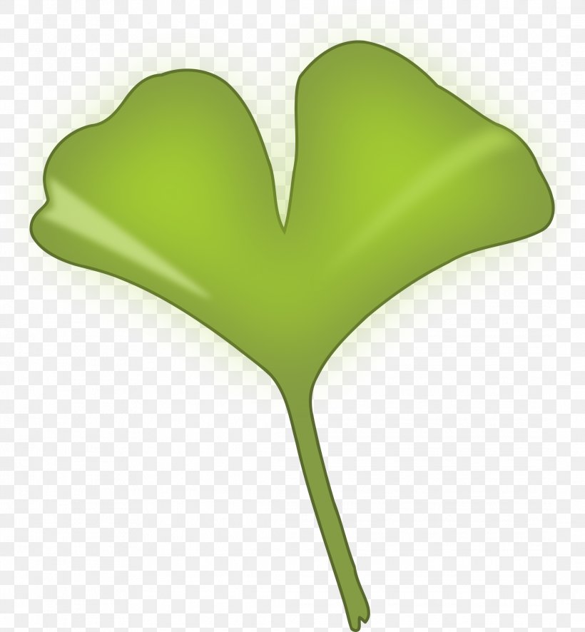 Ginkgo Biloba Leaf Tree Ginkgoaceae Clip Art, PNG, 2171x2346px, Ginkgo Biloba, Bladnerv, Copyright, Extract, Ginkgoaceae Download Free
