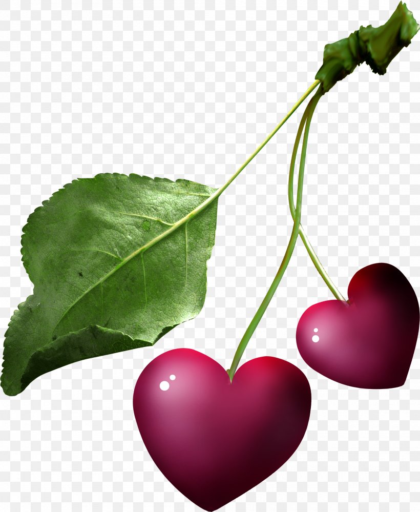 Leaf Heart Follaje, PNG, 2000x2439px, Leaf, Branch, Cherry, Designer, Follaje Download Free