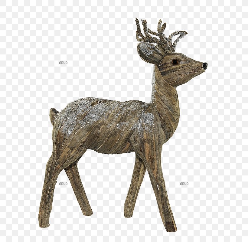 Reindeer White-tailed Deer Elk Antler, PNG, 800x800px, Reindeer, Animal, Antler, Deer, Elk Download Free