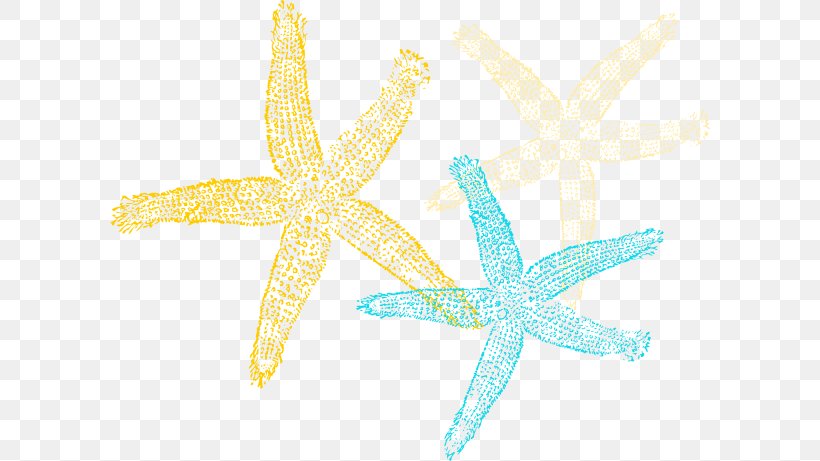 Starfish Echinoderm Clip Art, PNG, 600x461px, Starfish, Blue Sea Star, Color, Echinoderm, Invertebrate Download Free