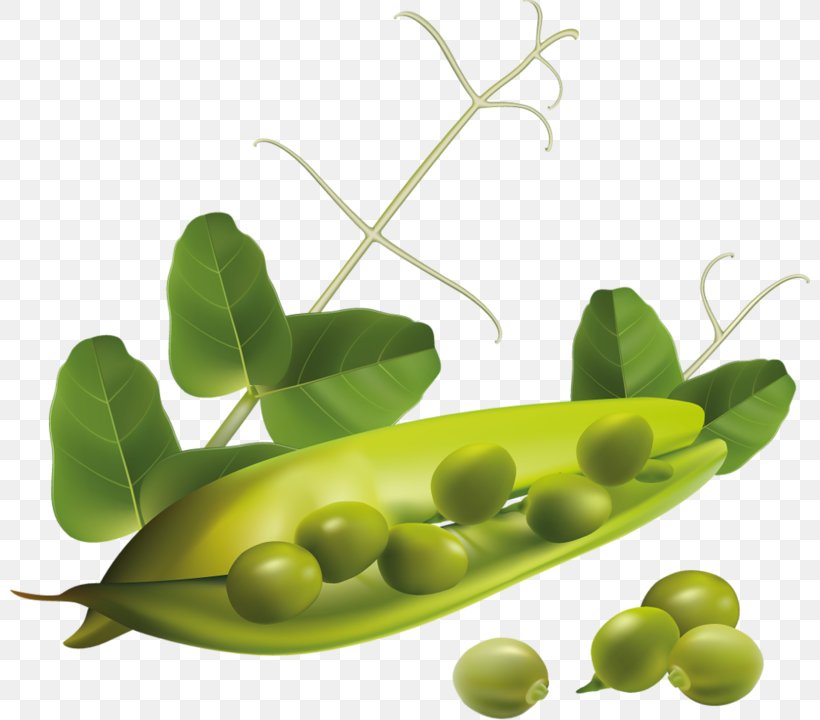 Vegetarian Cuisine Vegetable Pea Clip Art, PNG, 800x720px, Vegetarian Cuisine, Commodity, Drawing, Food, Fruit Download Free