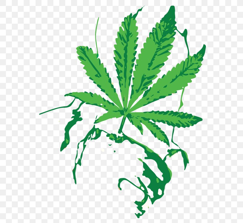 Cannabis Shop Hash Oil Marijuana Cannabis Sativa, PNG, 598x753px, Cannabis, Canada, Cannabidiol, Cannabis Au Canada, Cannabis Sativa Download Free