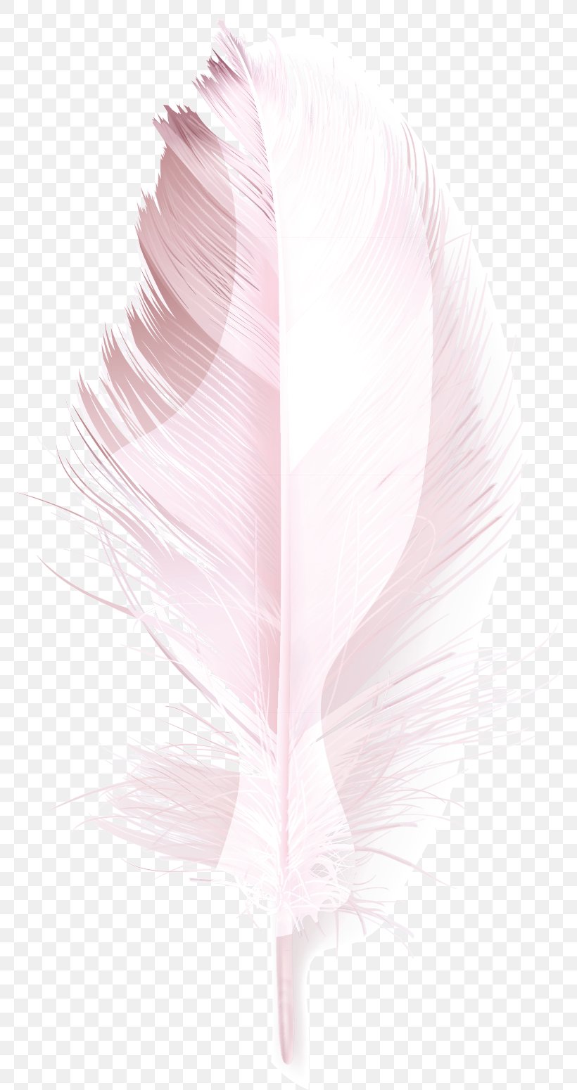 Feather, PNG, 774x1550px, Feather, Petal, Pink Download Free