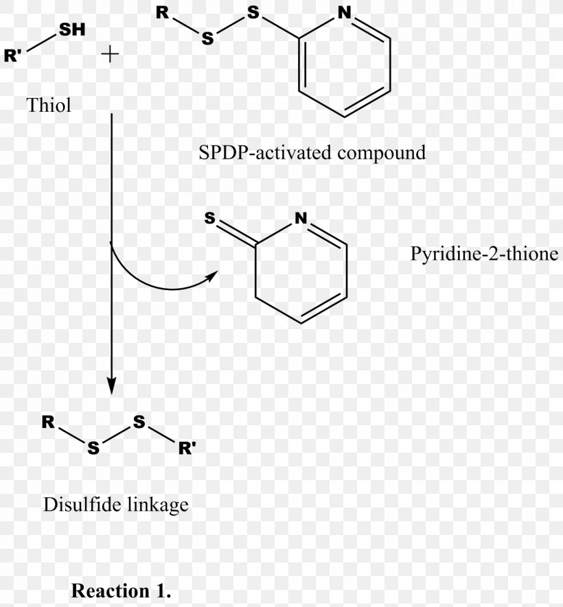 Thiol Amine Cross-link Pyridine Amino Acid, PNG, 1337x1444px, Thiol, Amide, Amine, Amino Acid, Area Download Free