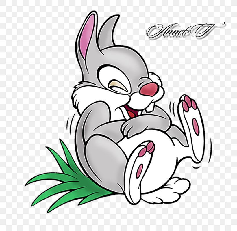Thumper Domestic Rabbit YouTube Clip Art, PNG, 800x800px, Watercolor, Cartoon, Flower, Frame, Heart Download Free