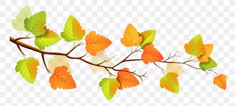 Autumn Branch Tree Clip Art, PNG, 5000x2261px, Autumn, Autumn Leaf Color, Branch, Leaf, Orange Download Free