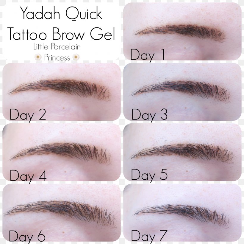 Eyebrow Eye Shadow Tattoo Color Permanent Makeup, PNG, 1600x1600px,  Eyebrow, Brown, Color, Cosmetics, Eye Download Free