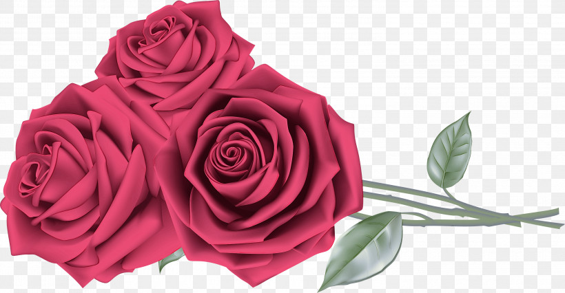Garden Roses, PNG, 2999x1560px, Flower, Bouquet, Camellia, China Rose, Cut Flowers Download Free