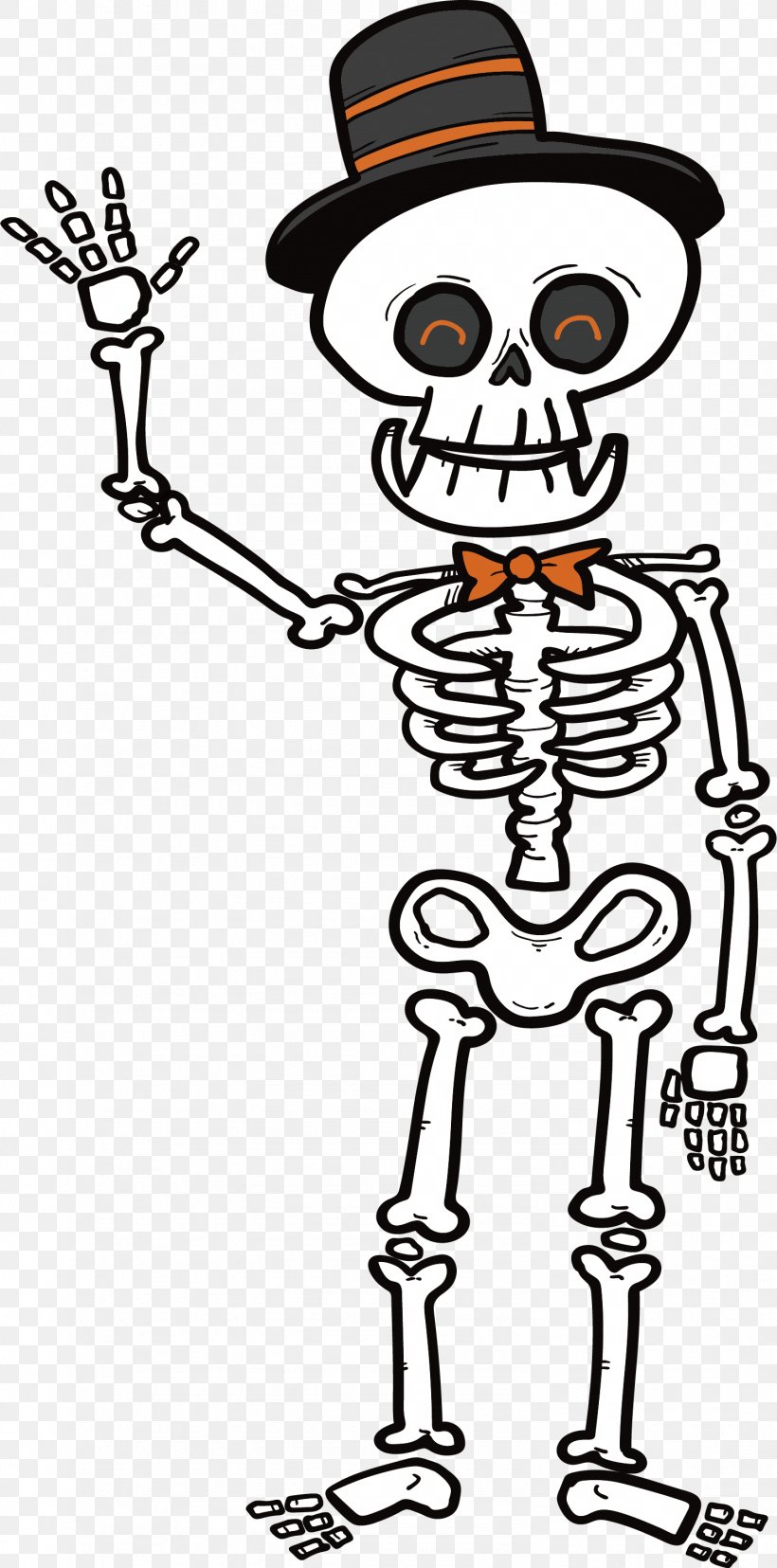 Human Skeleton Microsoft PowerPoint Clip Art, PNG, 1492x3013px, Skeleton, Area, Art, Black And White, Cartoon Download Free