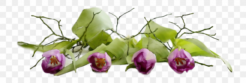 Flower Plant Cut Flowers Bud, PNG, 1920x654px, Spring, Bud, Cut Flowers, Flower, Paint Download Free