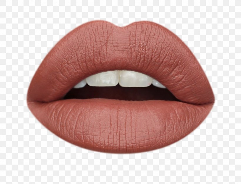 Lip Balm Lipstick Cosmetics Lip Gloss Lip Liner, PNG, 1577x1204px, Lip Balm, Color, Cosmetics, Eyelash, Kylie Jenner Download Free